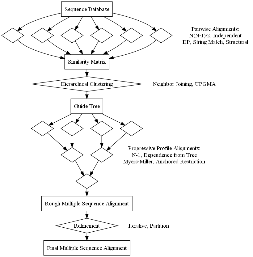 Diagram of Progressive Multiple Sequence Alignment in which boxes represent data and diamonds show algorithms Diagram of Progressive Multiple Sequence Alignment in which boxes
represent data and diamonds show
algorithms